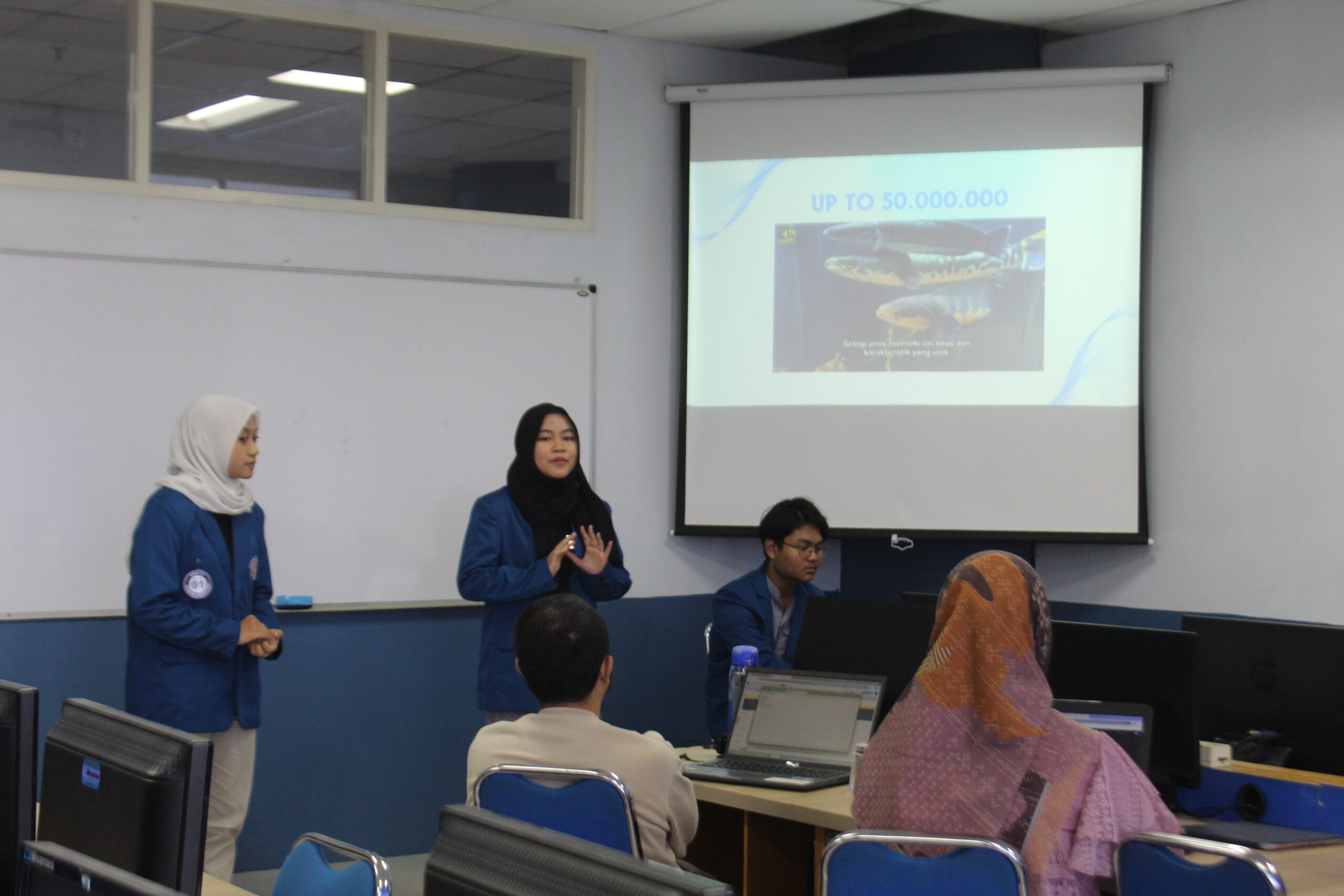 Internal Competition